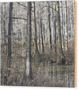 William B Clark Conservation Area Wolf River Rossville Tn 6 Wood Print