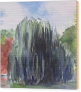 Willow Tree -2  Hidden Lake Gardens -tipton Michigan Wood Print