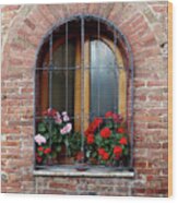 Window In Pienza Wood Print