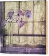 Window Orchids Wood Print
