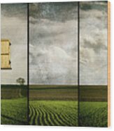 Window To Farmland Triptych Wood Print