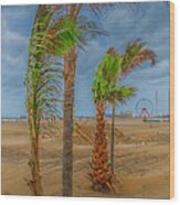 Windy Beach Wood Print