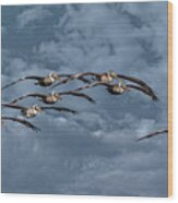 Wings In Formation Wood Print