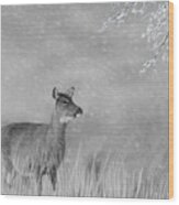 Winter Deer Wood Print