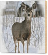 Winter Deer On The Tree Farm Wood Print