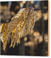 Winter Leaves Left Wood Print