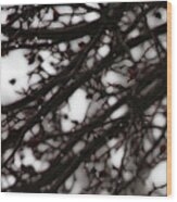 Winter Rain - 3 Wood Print