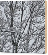 Winter Sky Through Snow Branches Wood Print