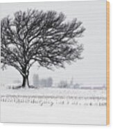 One Last Snowfall - Lone Oak In Snow And Corn Stubble Near Stoughton Wi Wood Print