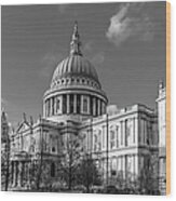 Winter Sun St Paul's Cathedral Bw Wood Print