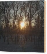 Winter Sunrise Between Trees Wood Print