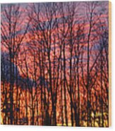 Winter Sunset Panorama Wood Print