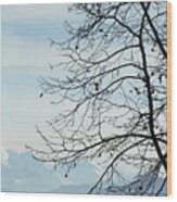 Winter Tree And Alps Mountains Upon The Fog Wood Print