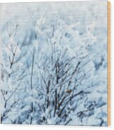 Winter Tree, Branches In Snow And Frost Close-up. Wood Print