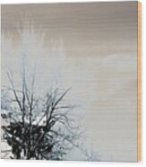 Winter Tree On Mountain Bluff Wood Print