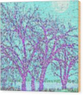 Winter Trees In Moonlight Blue - Boulder County Colorado Wood Print