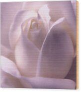 Winter White Rose 2 Wood Print