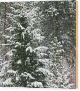 Winter Woodland Wood Print