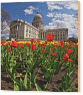 Wisconsin Capitol And Tulips 3 Wood Print