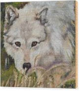 Wolf Among Foxtails Wood Print