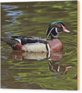 Wood Duck Wood Print