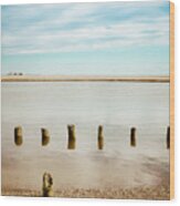 Wood Pilings In Shallow Waters Wood Print