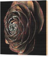 Wood Rose Wood Print