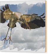 Wood Stork Wood Print
