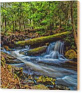 Woodland Stream And Falls Wood Print