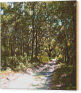 Woodsy Trail Wood Print