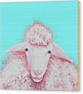 Woolly Sheep On Turquoise Wood Print