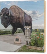 Worlds Largest Buffalo In North Dakota Wood Print