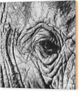 Wrinkled Eye Wood Print