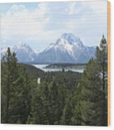 Wyoming 6490 Wood Print