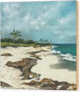 Xcaret - Mexico - Beach Wood Print