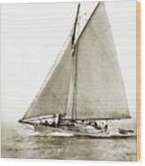 Yankee A   52-footer Wooden Schooner She Was  At William F. Stone's Of S. F. 1906 Wood Print