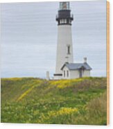 Yaquina Head Lighthouse Wood Print