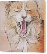 Yawning Ginger Cat Wood Print