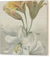 Yellow And White Lilies Wood Print