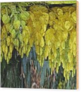 Yellow Buds Wood Print