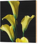Yellow Calla Lilies Wood Print
