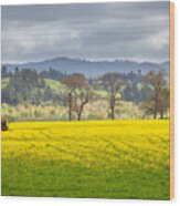 Yellow Fields Along The Eel River Wood Print
