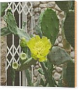 Yellow Flower Cactus Wood Print