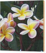 Yellow Flower Hawaii Wood Print