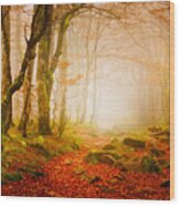 Yellow Forest Mist Wood Print