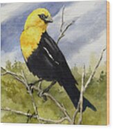 Yellow-headed Blackbird Wood Print