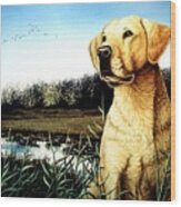 Yellow Lab Portrait Wood Print