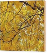 Yellow Leaf Wood Print