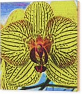 Yellow Orchid Bloom In Fauvism Wood Print