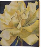 Yellow Rose 103 Wood Print